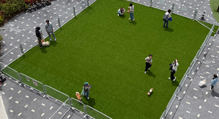 ペット事業